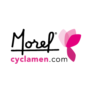 Logo Morel